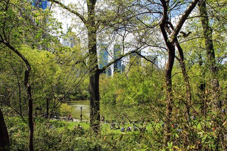 NY Central Park