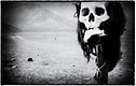 Skull on the Nazca plains.