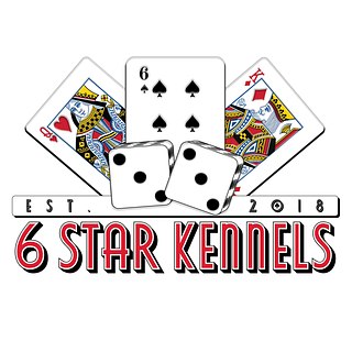 6 Star Kennels
