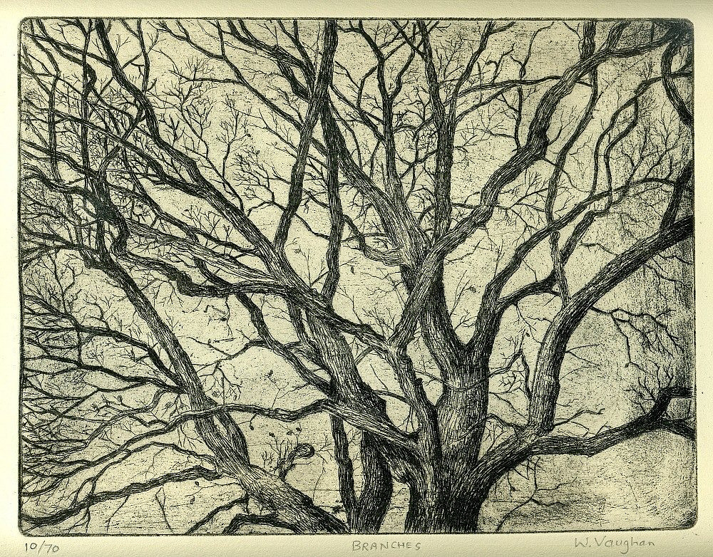 Trees - Prints