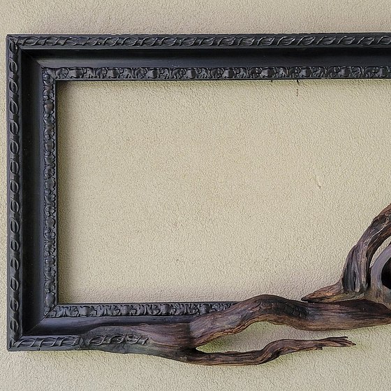 Driftwood Infused Frames