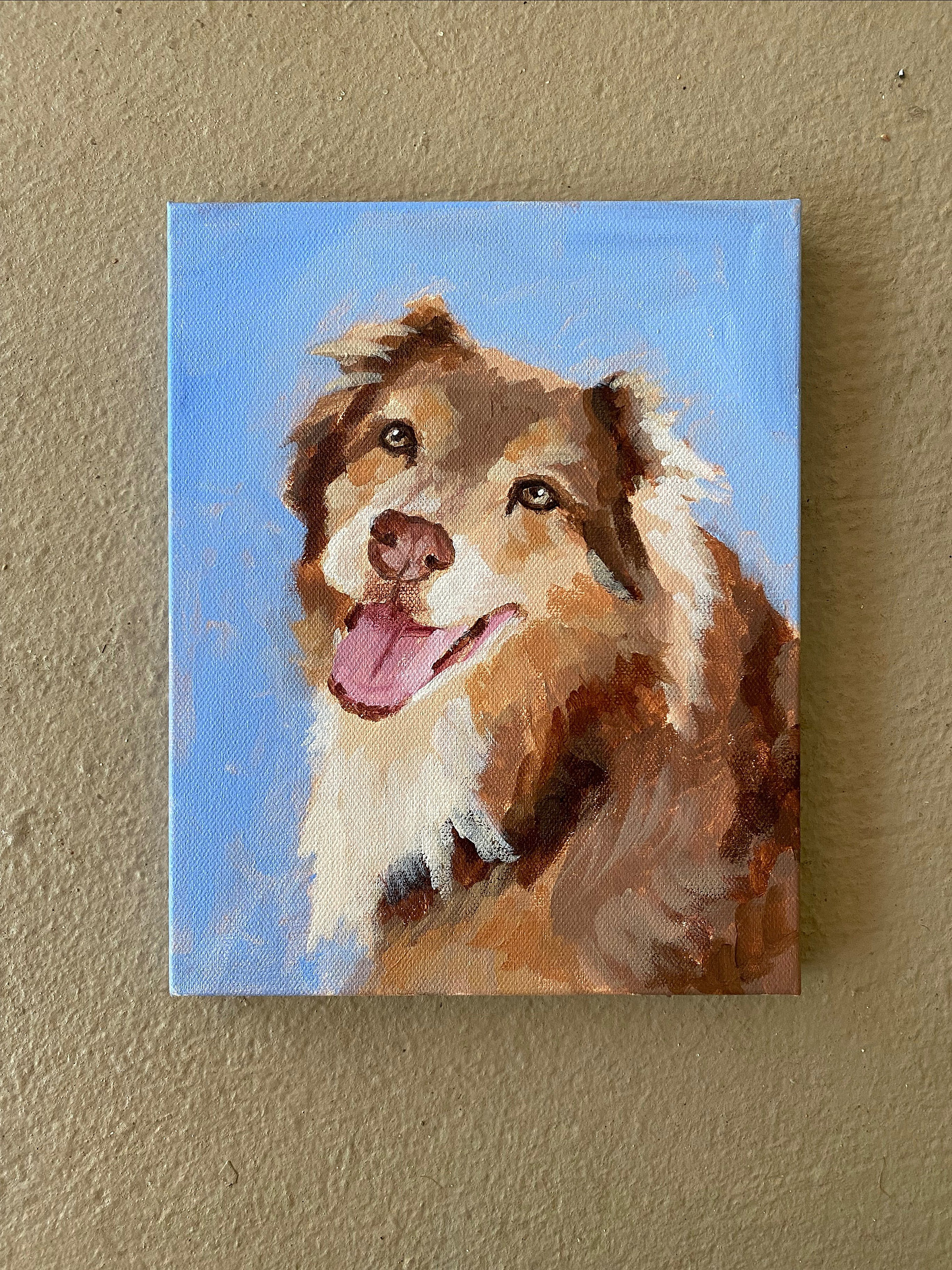 Pet Portraits