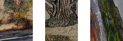 Small paintings on wood, group 4