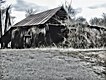 Old Barn in Kenbridge-Digital #3