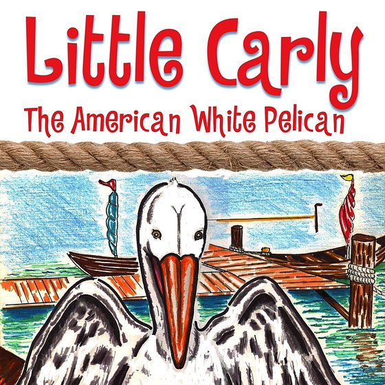 Little Carly: The American White Pelican Illustrations