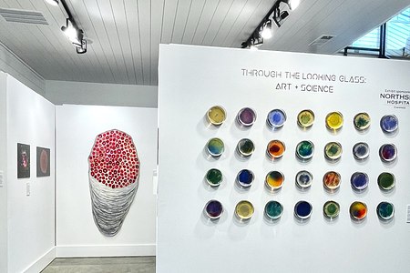 Through the Looking Glass: Art + Science