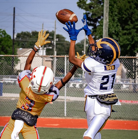 11U SED