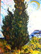 Cypress Trees (after Van Gogh)